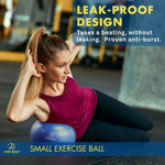 Small Exercise Ball with Pump - 9 Inch Workout Ball for Stability, Barre, Yoga, Core & Physical Therapy
