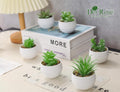 Set of 6 Succulents Plants Artificial in Pots Small Fake Plants for Bedroom Aesthetic Living Room Shelf Bathroom Decor Office Desk Accessories