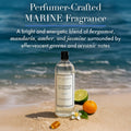 Activewear Laundry Detergent, 32 Oz, Marine Fragrance, 4-In-1 Enzyme Blend for Workout Performance Fabrics, Fights Sweat Odors & Stains, USDA Certified Biobased Product (90%)