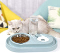 Double Dog Cat Bowls Water and Food Bowl Set，Detachable Stainless Steel Bowl Automatic Water Dispenser Bottle Pet Feeder for Small or Medium Size Dogs Cats Puppy Kitten Rabbit
