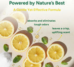 | Carpet Deodorizer & Freshener Powder | 31 Oz Pet Odor Eliminator for Strong Odor & Pet Urine | Fresh Natural Lemon Scent | Safe for Homes with Pets