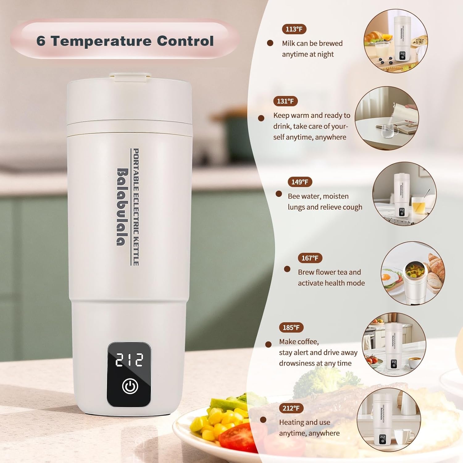 Travel Electric Kettle,  Portable Water Boiler with 6 Variable Presets,Small Electric Kettle with Keep Warm Temperature Controls & Boil Dry Protection, 17Oz,White
