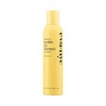 Eva NYC Invisible Dry Shampoo Spray - Oil-Absorbing, Removes Odor & No White Cast - Freshen up Dry Shampoo for Women - for Light, Dark + Oily Hair - Warm Vanilla Scent - 5.3 Oz