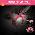 Reflective Dog Harness No Pull Dog Vest Harness with Handle,No Choke Adjustable Soft Padded Pet Vest for Small Dogs,Pink Dog Galters
