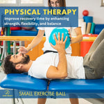 Small Exercise Ball with Pump - 9 Inch Workout Ball for Stability, Barre, Yoga, Core & Physical Therapy