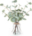 Artificial Eucalyptus Stems in Glass Vase with Faux Water, 13.5" Fake Plants for Home Decor, Coffee Table Centerpieces, Office, Bathroom & Farmhouse Weddings - Faux Greenery Plants Decorations