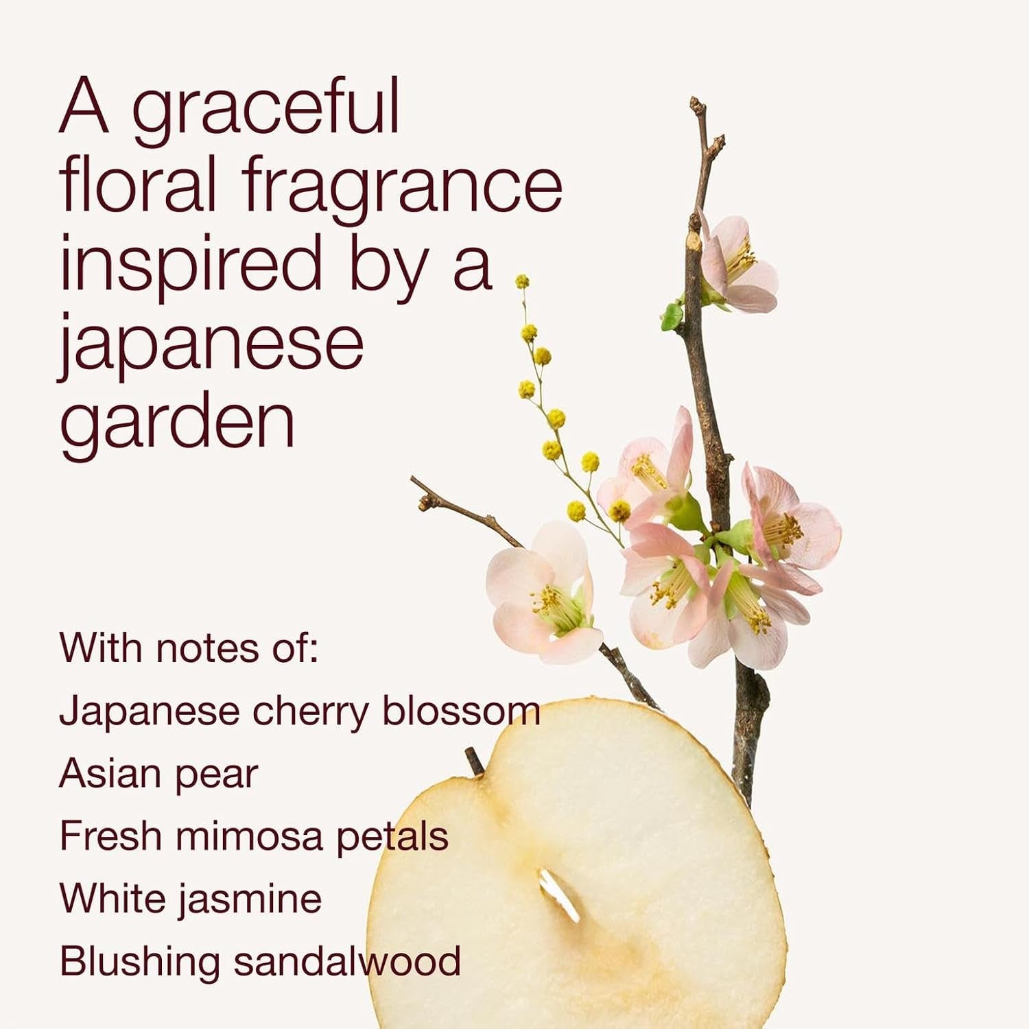 Japanese Cherry Blossom Body Wash, Nourishing Cleanser with Pro-Vitamin B5 & Aloe, Iconic Floral Scent, Gentle for Daily Use, 10 Fl Oz - 2 Pack