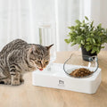 Tilted Raised Cat Food Bowl and Gravity Water Bottle, Elevated Cat Dish with Non-Slip Feeding Mat for Cats Kitten