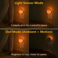 2 Pack Plug in Sleep Night Light with Motion Sensor and Dusk to Dawn Sensor, 3 Modes, Soft Glow, Stepless Dimming, LED Lights for Bedroom, Sleep, Baby Nursery, Kids, Toddler, Home Decor (Amber)