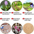 Water Hyacinth Placemats, Square Placemats Set of 6, Plate Chargers Set of 6, Rattan Charger, Dinner Mats, Rattan Plate Chargers Set of 6, Wicker Plate Holders, Woven Table Mats 12 in (6)