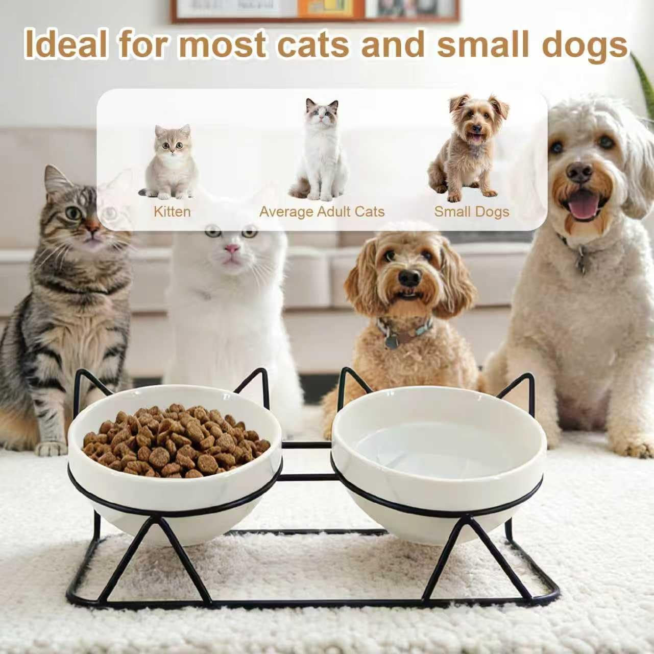 Elevated Tilted Cat Bowls for Indoor Catsï¼ŒRaised Ceramic Cat Bowl Elevated 15Â°,Pet Feeding Bowls for Food and Water anti Vomiting Bowl(Double Ceramics and Tilt Shelf) Suitable
