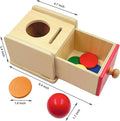Dailyfunn Montessori Toys Coin&Ball 2-In-1 Drop Box Object Permanence Box for Infant Baby Preschooler 6-24 Months