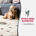 Natureâ€™S Miracle Advanced Stain and Odor Eliminator for Dogs, 1 Gallon, Fresh Scent, Severe Mess Enzymatic Formula for Tough Pet Messes