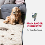 Nature’S Miracle Advanced Stain and Odor Eliminator for Dogs, 1 Gallon, Fresh Scent, Severe Mess Enzymatic Formula for Tough Pet Messes