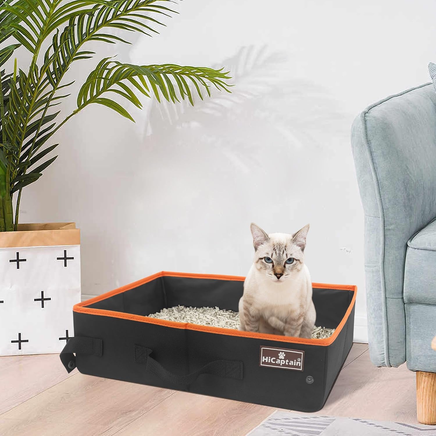 Portable Cat Travel Litter Box, Collapsible Cat Litter Carrier Tray, Waterproof Litter Box for Outdoor Fit Medium Cats and Kitties, Leak-Proof, Sturdy, Lightweight-Black