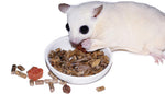 Glider Complete 5 Lb | Natural Fruit Bits | Sugar Glider Food