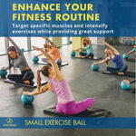 Small Exercise Ball with Pump - 9 Inch Workout Ball for Stability, Barre, Yoga, Core & Physical Therapy