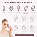 Heat Electric Gua Sha Tool, Face Massager | 4-In-1 Multiple Function Gua Sha Electric Massager for the Face and Neck