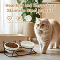 Elevated Tilted Cat Bowls for Indoor Catsï¼ŒRaised Ceramic Cat Bowl Elevated 15Â°,Pet Feeding Bowls for Food and Water anti Vomiting Bowl(Double Ceramics and Tilt Shelf) Suitable