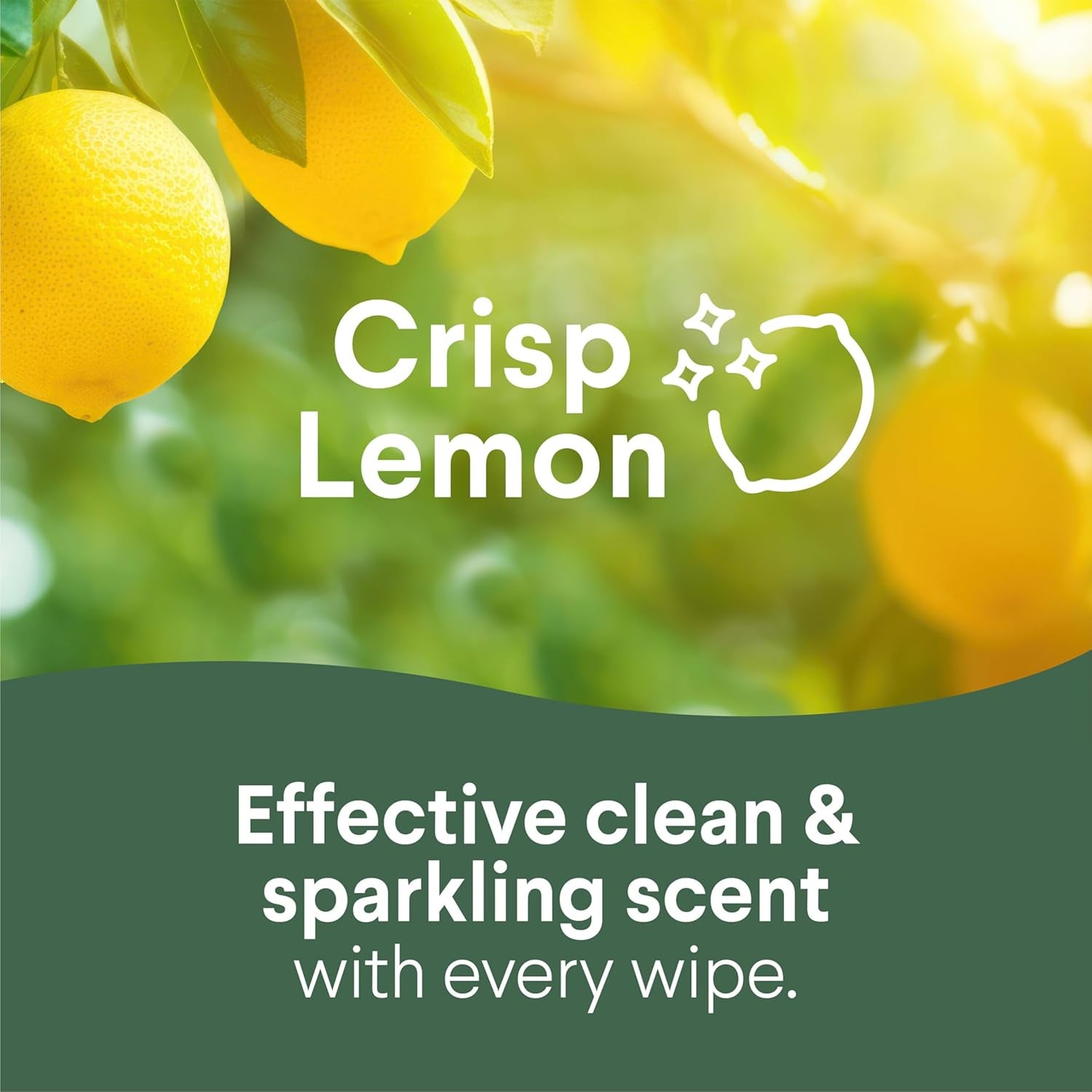 Disinfecting Cleaning Wipes for Spring Cleaning & Allergy Season, Bleach Free, Fresh Scent and Crisp Lemon, 75 Count Each, Pack of 4