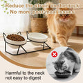 Elevated Tilted Cat Bowls for Indoor Catsï¼ŒRaised Ceramic Cat Bowl Elevated 15Â°,Pet Feeding Bowls for Food and Water anti Vomiting Bowl(Double Ceramics and Tilt Shelf) Suitable