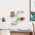 4 Pack Acrylic Shelves for Wall Storage,No Drilling Adhesive Shelves,Clear Stick on Bathroom Wall Shelf Organizers,Plastic Floating Shelves for Perfume,Funko,Lego,Skincare,Bookshelf for Kids