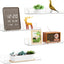 4 Pack Acrylic Shelves for Wall Storage,No Drilling Adhesive Shelves,Clear Stick on Bathroom Wall Shelf Organizers,Plastic Floating Shelves for Perfume,Funko,Lego,Skincare,Bookshelf for Kids
