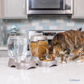 Pet Cafe Feeder Dog and Cat Feeder Pearlescent Colors 3 Sizes, Made in USA