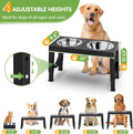 Elevated Dog Bowls Large Breed Raised Dogs Bowl Stand Large/Medium Sized Dog Stainless Steel Food Water Bowl Stands 5 Heights Adjustable 9/11/12/14In Black Pet Feeder Dish Station