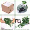 Fake Hanging Plants, Artificial Small Potted Plants for Indoor Outdoor Aesthetic Office Living Room Shelf Decor (1 Pack)