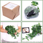 Fake Hanging Plants, Artificial Small Potted Plants for Indoor Outdoor Aesthetic Office Living Room Shelf Decor (1 Pack)