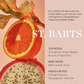 Body Cleanser, St. Barts - Foaming Body Wash with Jojoba Oil and Rosehip Oil to Hydrate, Nurture, Balance and Soften Skin - Paraben, Phthalate and Sulfate Free Skin Care Products (10 Fl Oz)