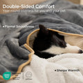 Bedsure Waterproof Dog Blankets for Small Dogs - Small Cat Blanket Washable for Couch Protection, Sherpa Fleece Puppy Blanket, Soft Plush Reversible Throw Furniture Protector, 25"X35", Grey