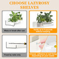 Floating Shelves â€“ Acrylic/Pet Wall-Mounted No Drill Storage with Adhesive, Invisible Bathroom & Bedroom Shelving for Kitchen, Living Room, Transparent Decor (White, 2-Piece Set)